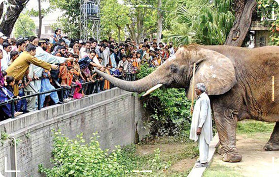 50 Places Of Lahore, Punjab Pakistan 16 Places Of Lahore: Lahore Zoo