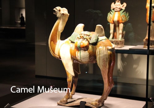 Best 10 Tourist Places To Visit In UAE 10 Places In The United Arab Emirates (UAE)When You Are On Budget