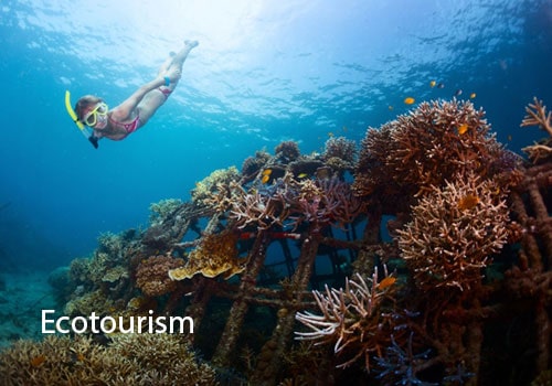 Common Types Of Tourism In Pakistan: Tourism In Pakistan 3 Common Types Of Tourism In Pakistan: Tourism In Pakistan