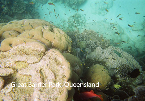 Top-Rated Tourist Attractions In Australia 3 Top-Rated Tourist Attractions In Australia