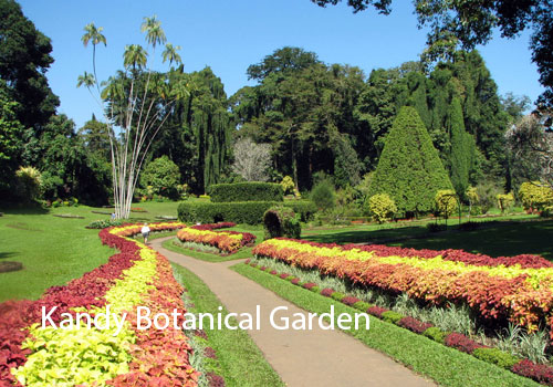 Top Places To Visit Sri Lanka 11 10 Must Visit Places In Sri Lanka