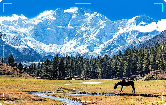 Best Places to Visit in Autumn in Northern Pakistan 6 Fairy Meadows-Nanga-Parbat