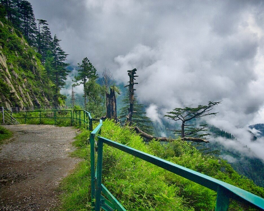 Top 10 Places You Must Visit in Murree 9 Places To Visit in Murree: Nathiagali