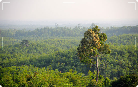 Most Interesting Unexplored Places In The World. 6 Most Interesting Unexplored Places In The World