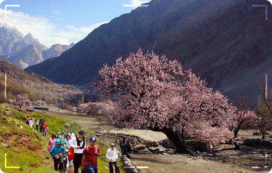 Travel Like A Pro: Expert Travel Tips And Tricks For Stressfree Tour 83 Plan a trip for the best time of the year