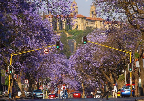 Exploring South Africa: Make Your Travel Journal More Interesting 5 Exploring South Africa: Make Your Travel Journal More Interesting