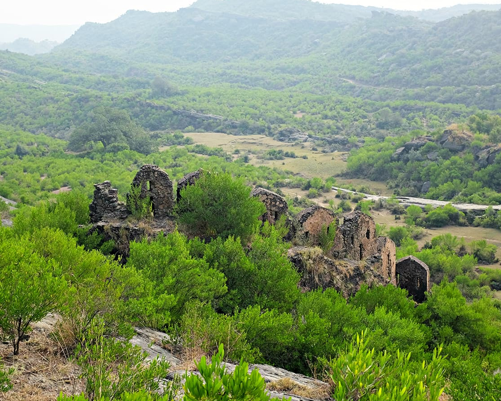 Top 10 Places You Must Visit in Murree 8 Places To Visit in Murree: Rawat