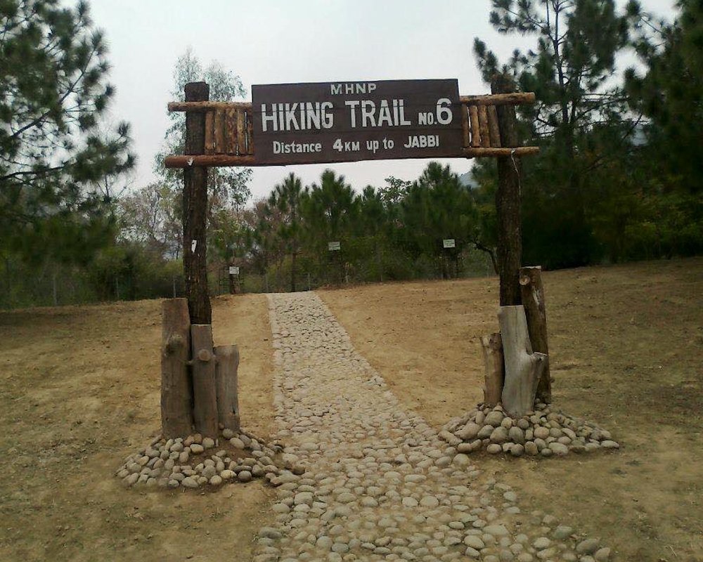 Top Hiking Trails in Islamabad 4 Trail-6