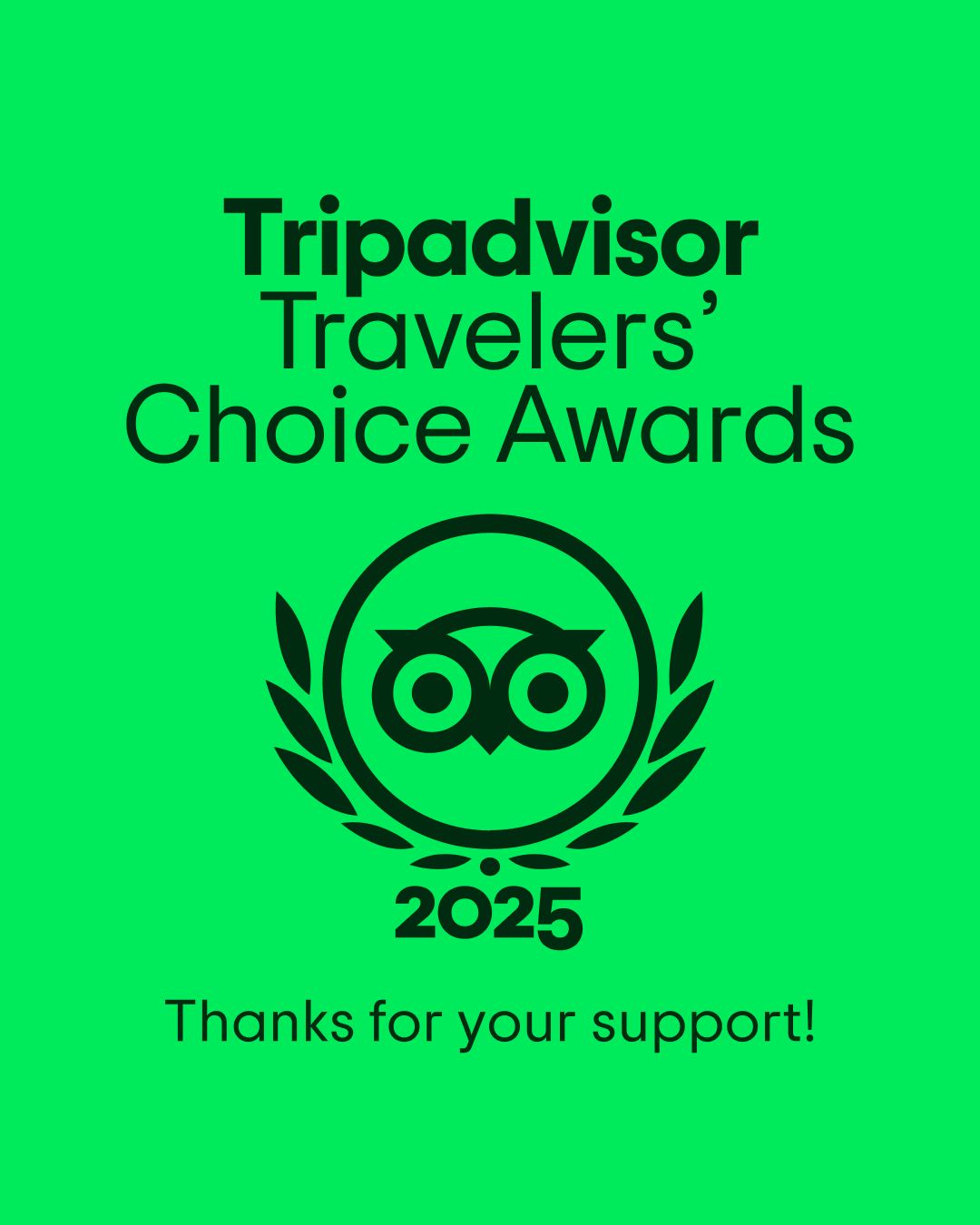 Traveller choice award 2025 by tripadvisor - pakistan tour and travel is commited to provide best services to its traveller Traveller choice award 2025 by tripadvisor - pakistan tour and travel is commited to provide best services to its traveller - book your pakistan tour packages with us for the premium services