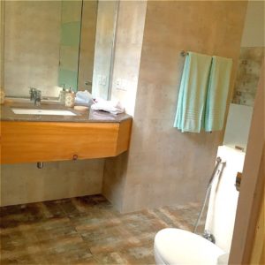 Grey walls Mountain Huts & Cottage 14 Washroom Grey wall Cottage in naran