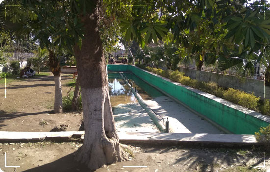 Famous Places in Peshawar To Visit With Family 4 Travel Guide Of Peshawar Tours: Wazir Bagh in Peshawar