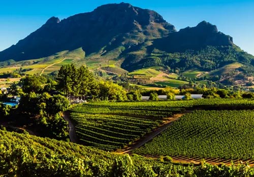 Exploring South Africa: Make Your Travel Journal More Interesting 17 Exploring South Africa: Make Your Travel Journal More Interesting