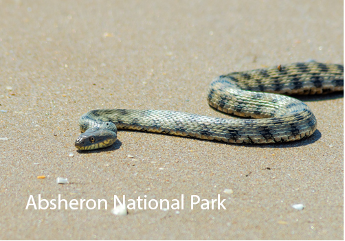 Best Places To Visit In Azerbaijan 4 Best Places To Visit In Azerbaijan