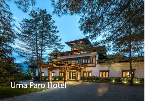 Top Places To Visit In Bhutan; Bhutan Tourist Places 5 Top Places To Visit In Bhutan; Bhutan Tourist Places 2022