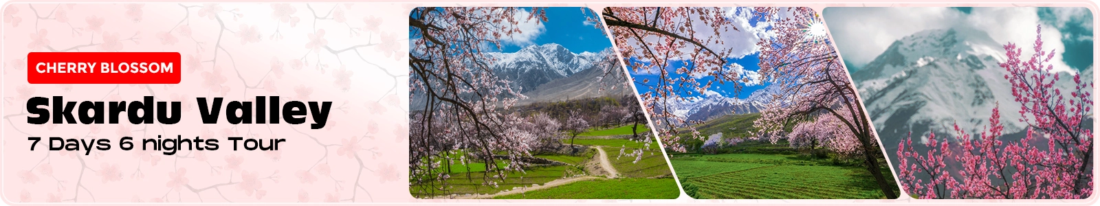 Blossom in Skardu Baltistan Trip 2024 Cherry blossom Skardu tour by road from Islamabad and Lahore