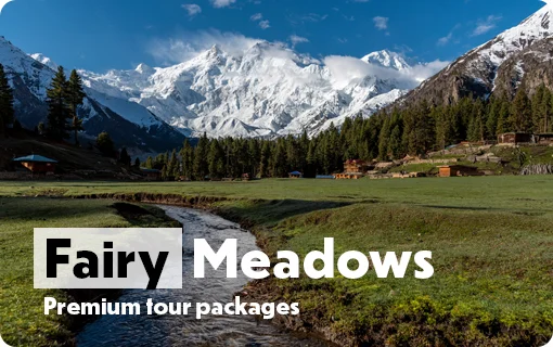 Pakistan Tour Packages 2026 6 Fairy-Meadows-Image
