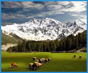 Ramazan Neelum Kashmir Tour 10 Fairy-Meadows