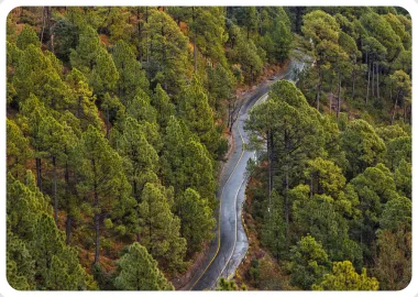 Murree tours -Top pakistan tour packages by pakistan tour and travel - Pakistan tours at the cheap and affordable rates - book your tour now Murree tours -Top pakistan tour packages by pakistan tour and travel - Pakistan tours at the cheap and affordable rates - book your tour now