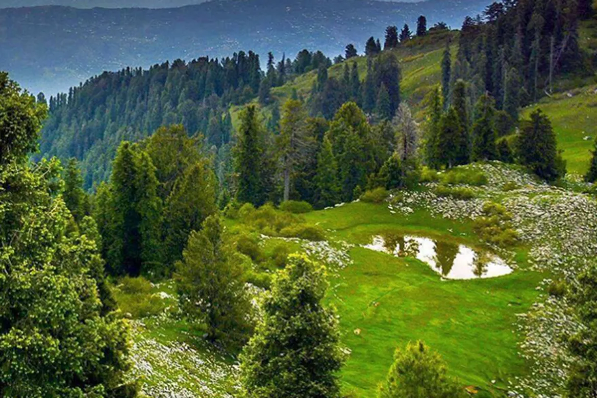 Top 10 Forests In Pakistan – Location, Area Covered, Types 12 Top 10 forests in Pakistan - Mushkpuri Jungle