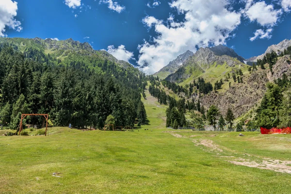 Naltar Valley – Places To Visit In Naltar Valley 4 Naltar Valley - Places To Visit In Naltar Vallley : Pakistan Tour n Travel - Naltar Ski Resort