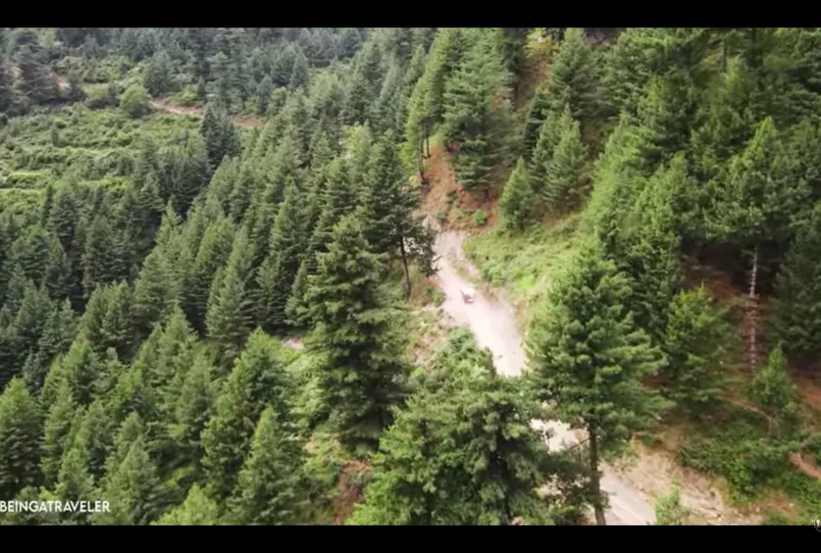 Sharan Forest: Unexplored Valley With Magnificent Views 2 Sharan Forest: A Beautiful Place in Kaghan Valley - Pakistan Tour n travel
