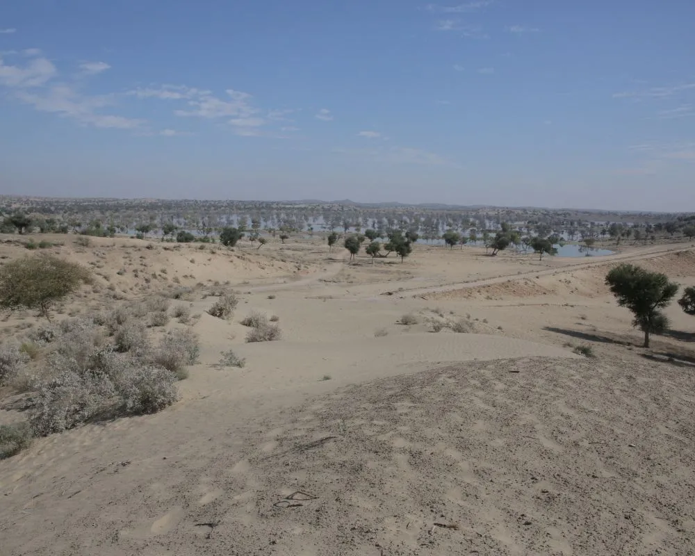 Tharparkar Pakistan: World’s Only Fertile Desert 3 Tharparkar Pakistan: World's Only Fertile Desert - Pakistan Tour n Travel