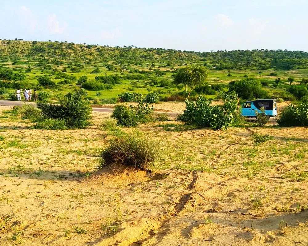 Tharparkar Pakistan: World’s Only Fertile Desert 2 Tharparkar Pakistan: World's Only Fertile Desert - Pakistan Tour n Travel